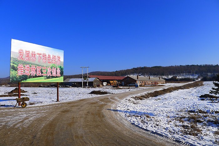 区域规划