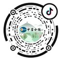 中咨小镇