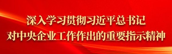 青春中咨