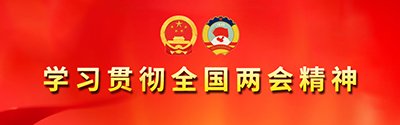 中咨智库